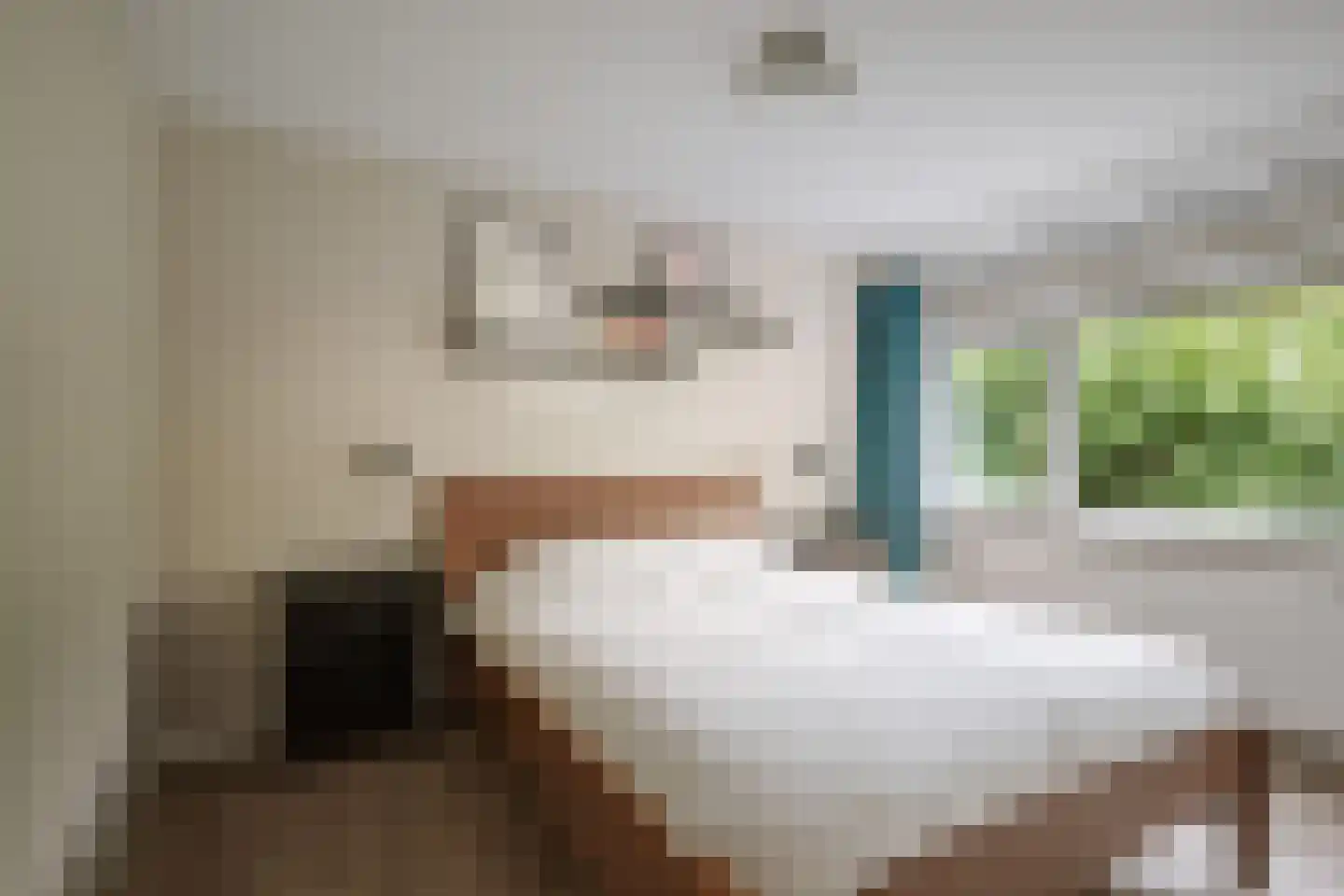 Ankerstraat 42 Epe thumbnail 20