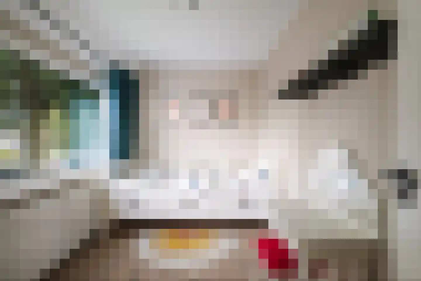 Ankerstraat 42 Epe thumbnail 21