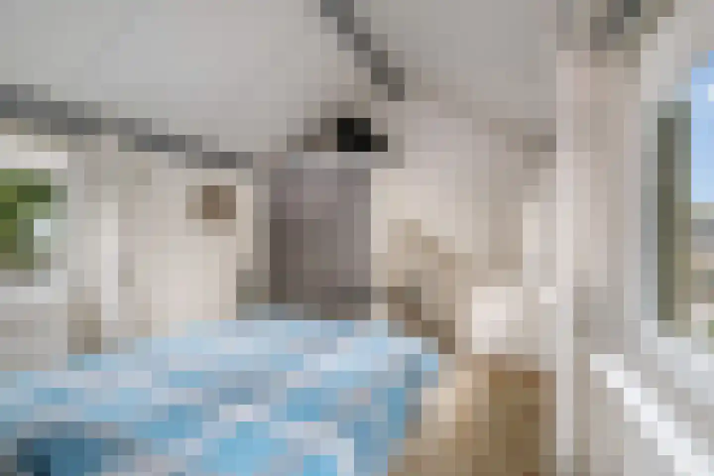 Ankerstraat 42 Epe thumbnail 25
