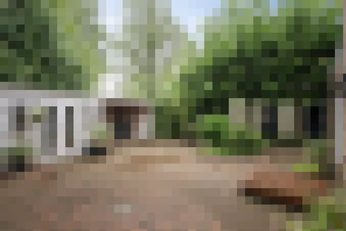 Ankerstraat 42 Epe thumbnail 28