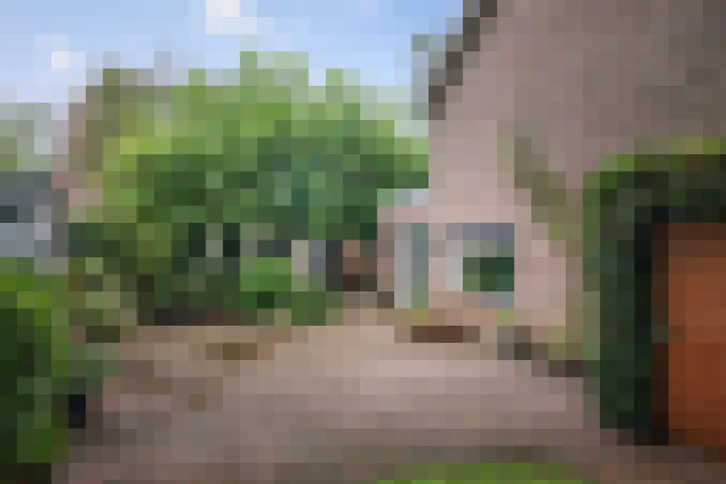 Ankerstraat 42 Epe thumbnail 29