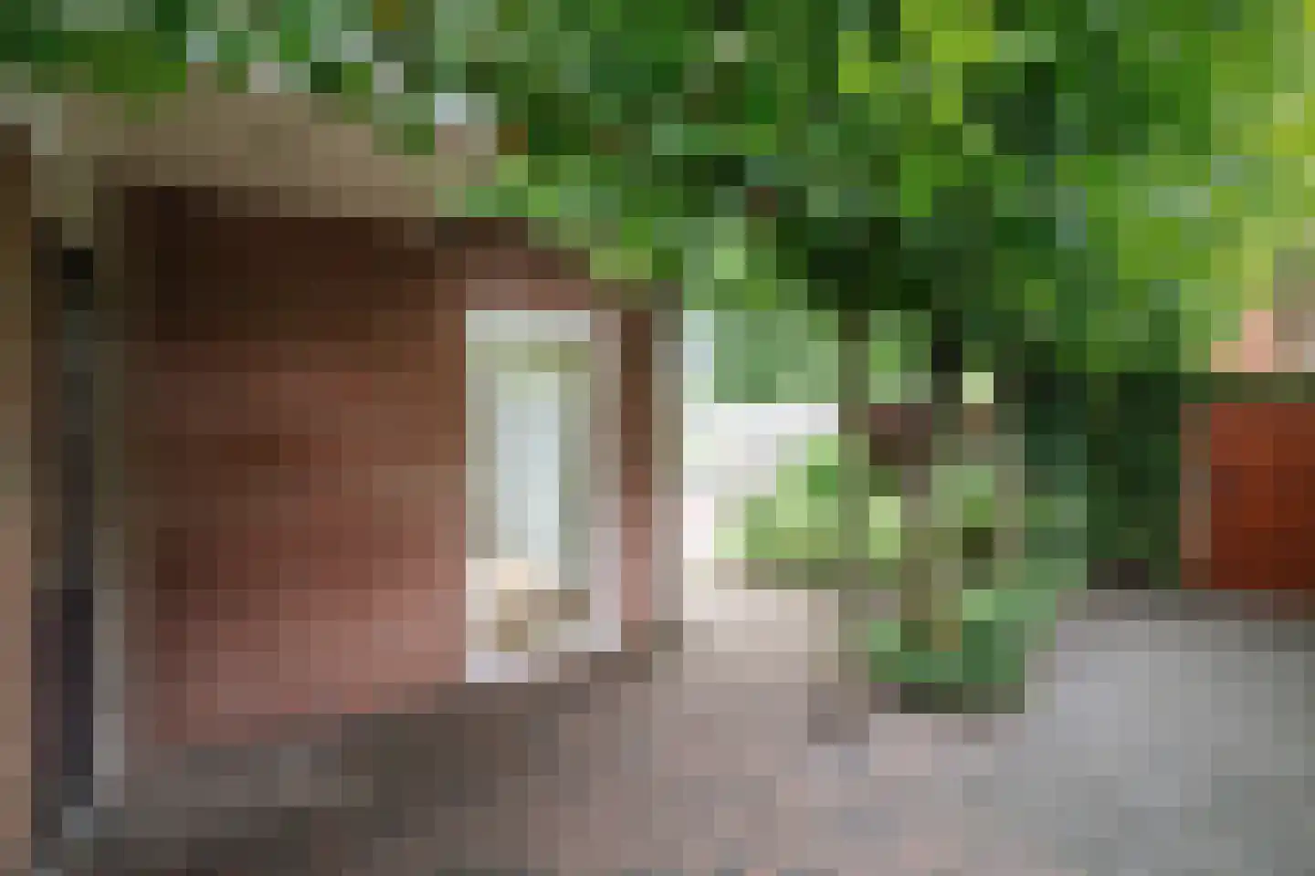 Ankerstraat 42 Epe thumbnail 31