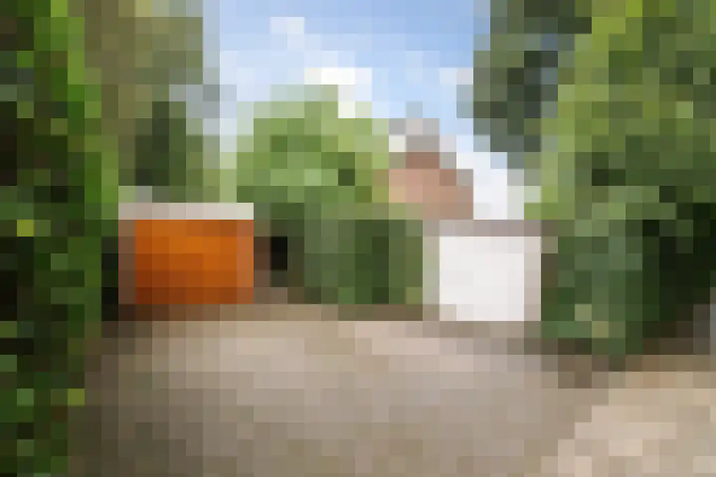Ankerstraat 42 Epe thumbnail 33