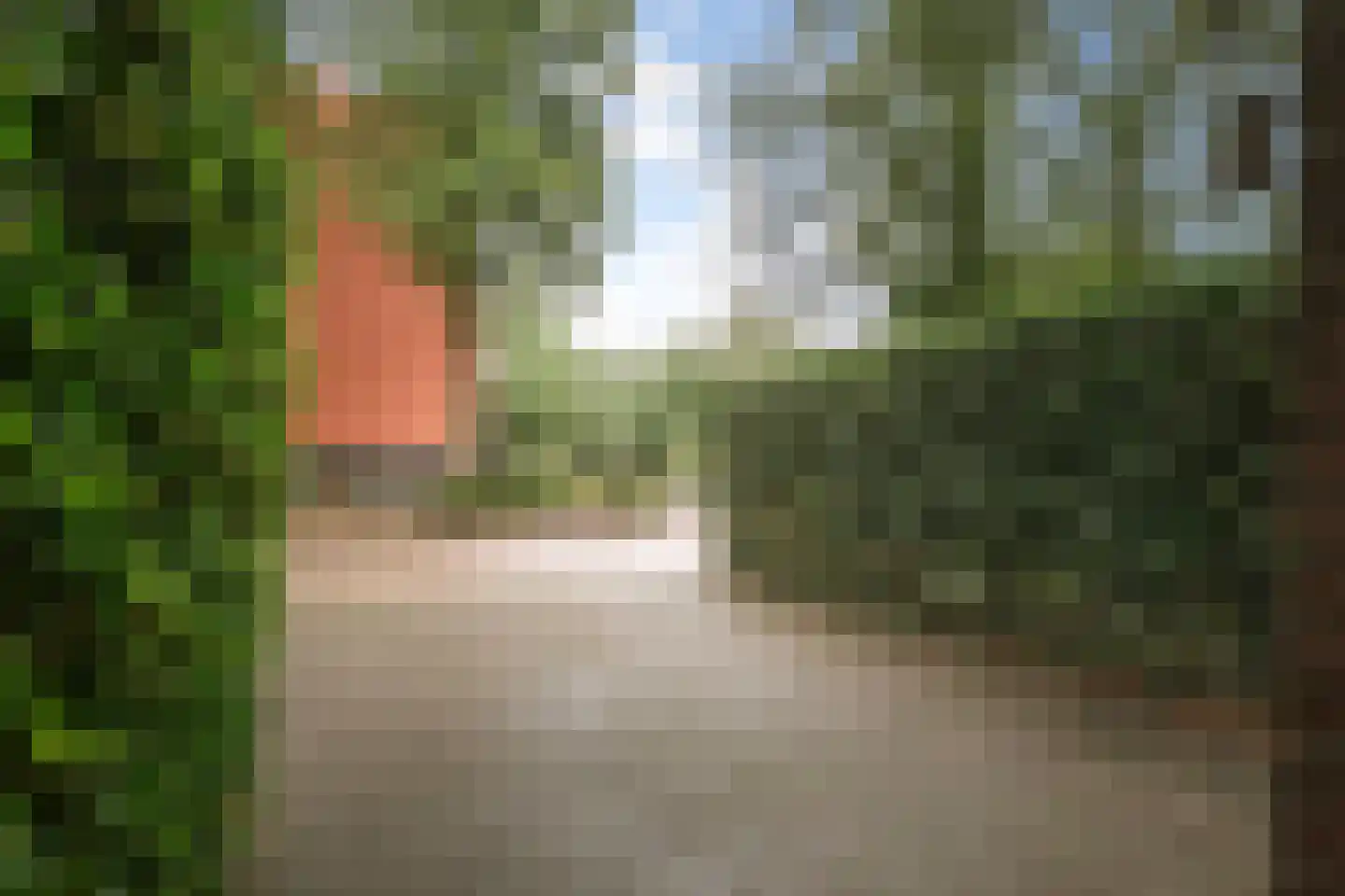 Ankerstraat 42 Epe thumbnail 34