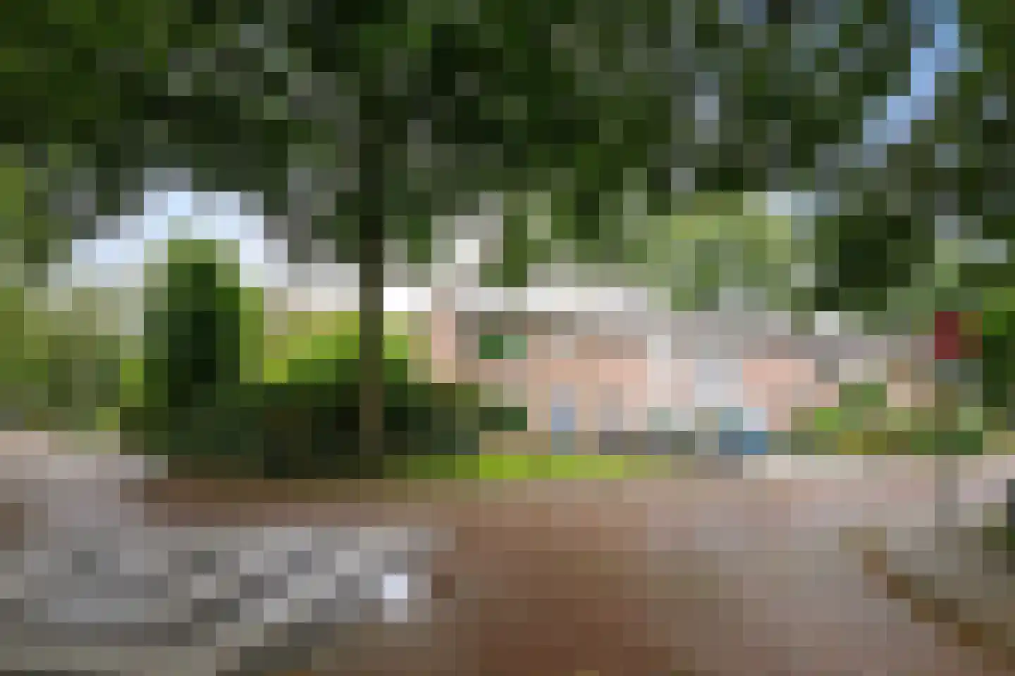 Ankerstraat 42 Epe thumbnail 36