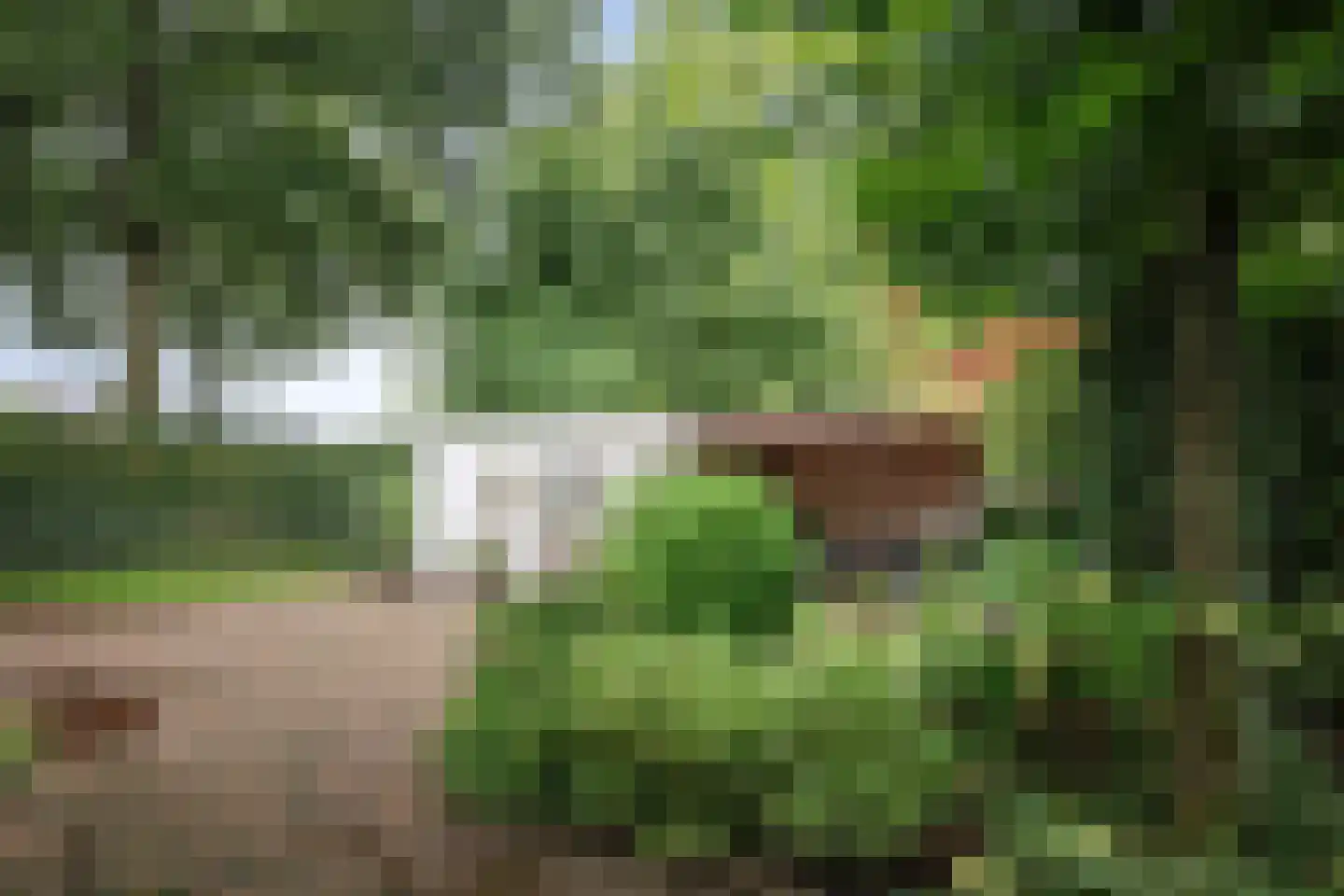 Ankerstraat 42 Epe thumbnail 4