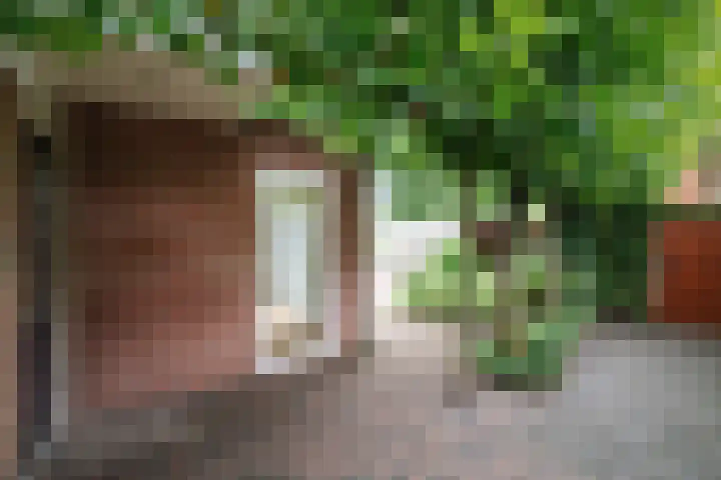 Ankerstraat 42 Epe thumbnail 6