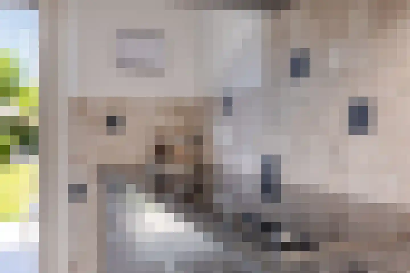 Ankerstraat 5 Ulft thumbnail 20