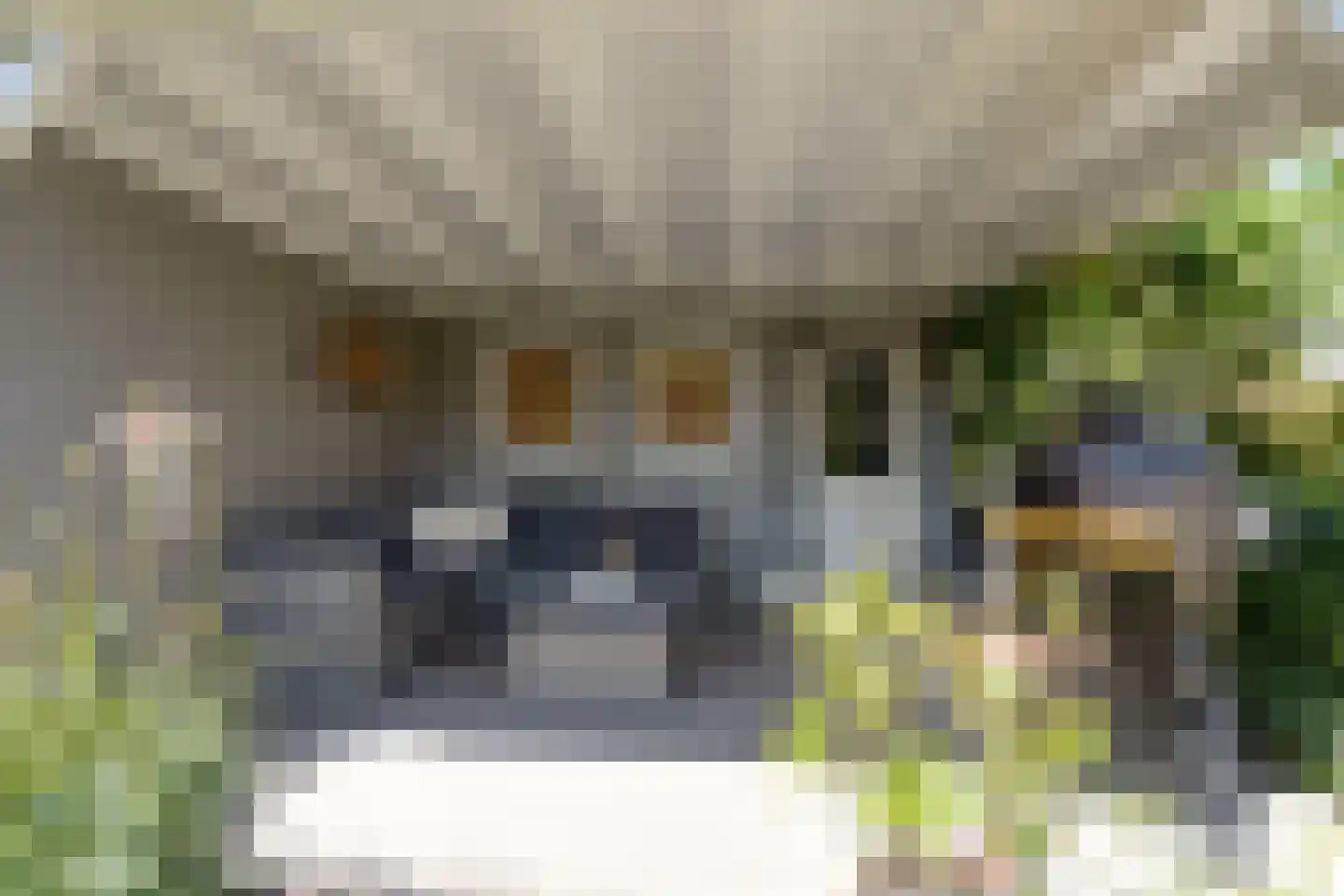 Ankerstraat 5 Ulft thumbnail 36