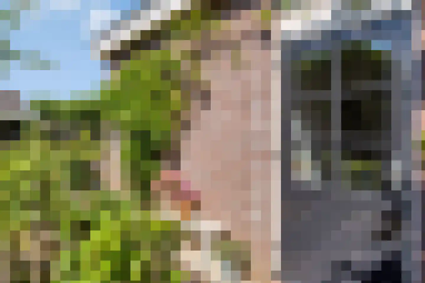 Ankerstraat 5 Ulft thumbnail 40