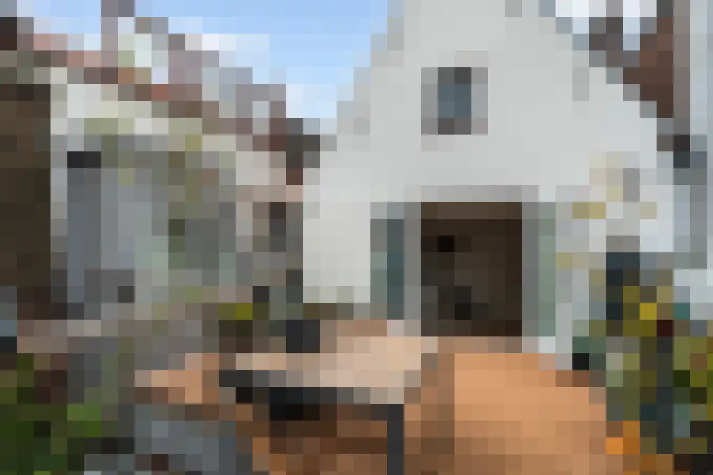 Ankerstraat 6 Maassluis thumbnail 36