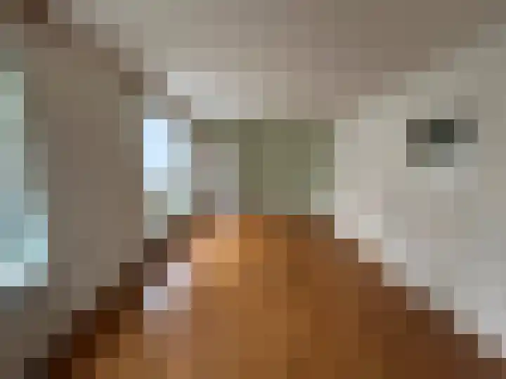 Ankerstraat 7 Ulft thumbnail 9