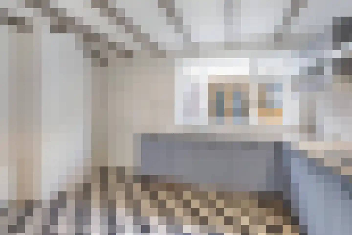 Ankerstraat 77 Den Haag thumbnail 14
