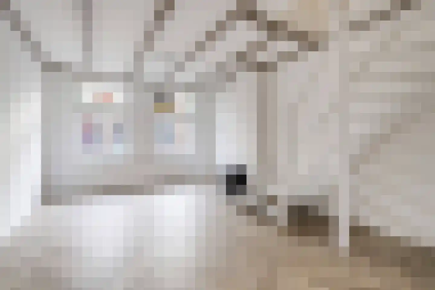 Ankerstraat 77 Den Haag thumbnail 6