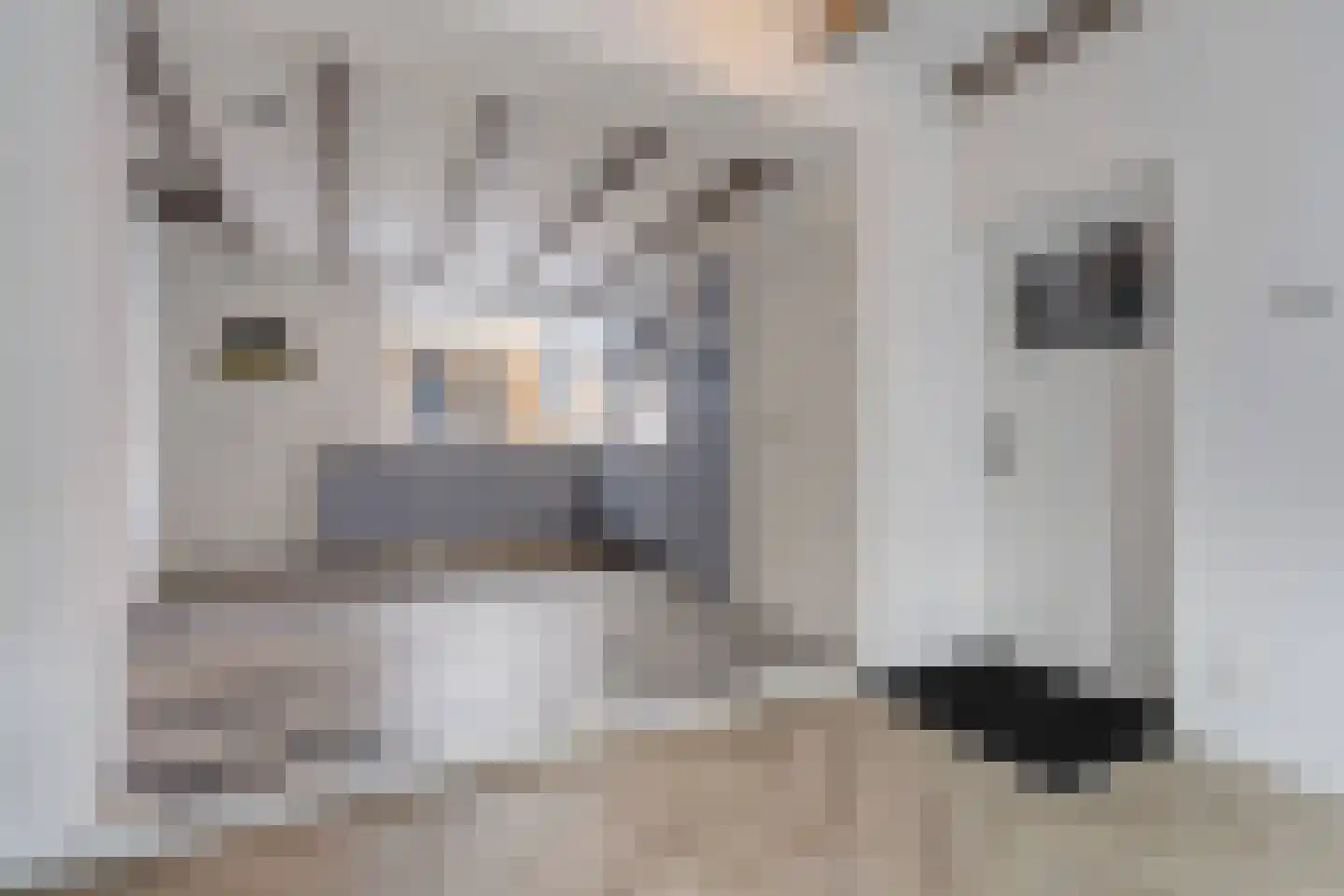 Ankerstraat 77 Den Haag thumbnail 9