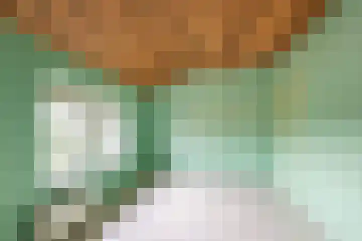 Ankerstraat 9 Ulft thumbnail 27