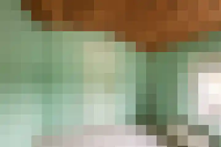 Ankerstraat 9 Ulft thumbnail 28