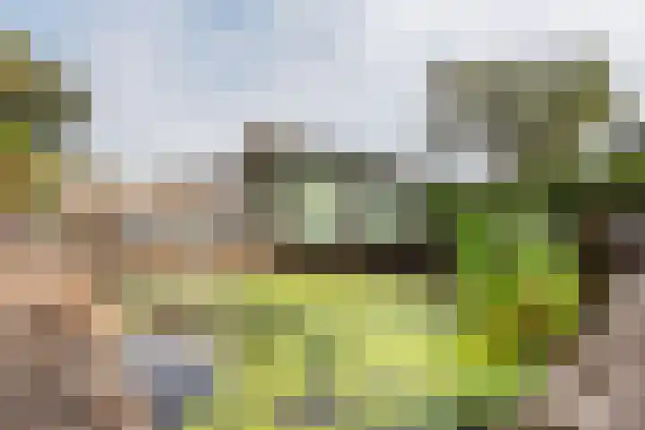 Ankerstraat 9 Ulft thumbnail 34