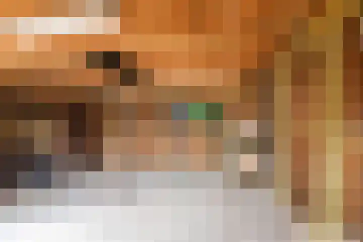 Ankerstraat 9 Ulft thumbnail 36