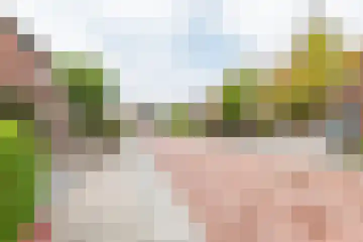 Ankerstraat 9 Ulft thumbnail 39