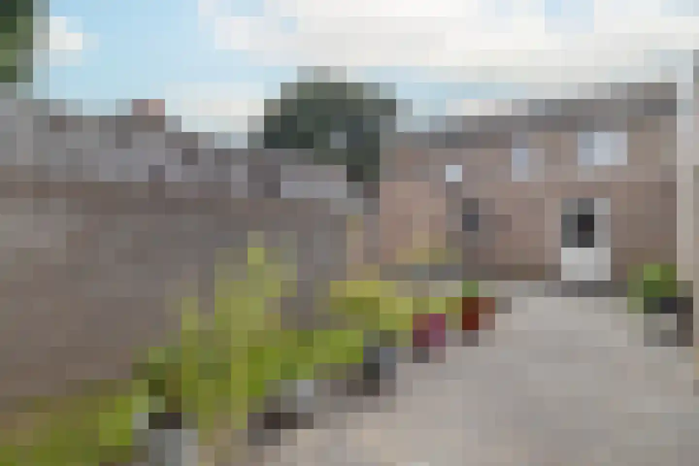 Ankersweg 24 Holtum thumbnail 28