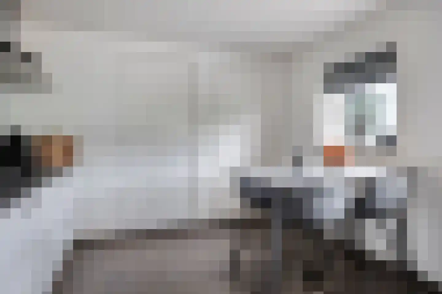 Ankersweg 51 Holtum thumbnail 19