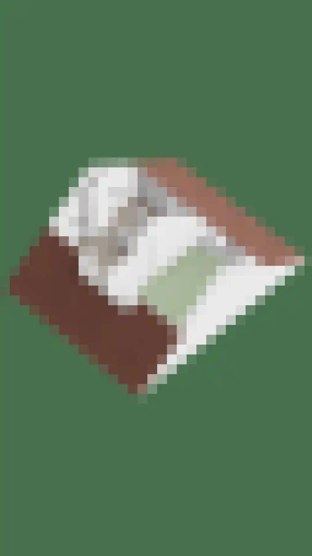 Ankersweg 51 Holtum thumbnail 60