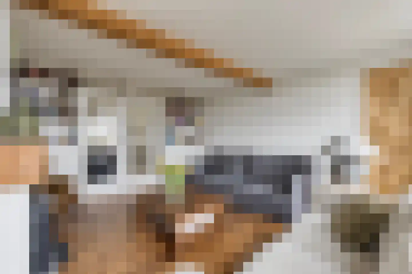Ankervere 4 's-Heer Arendskerke thumbnail 13
