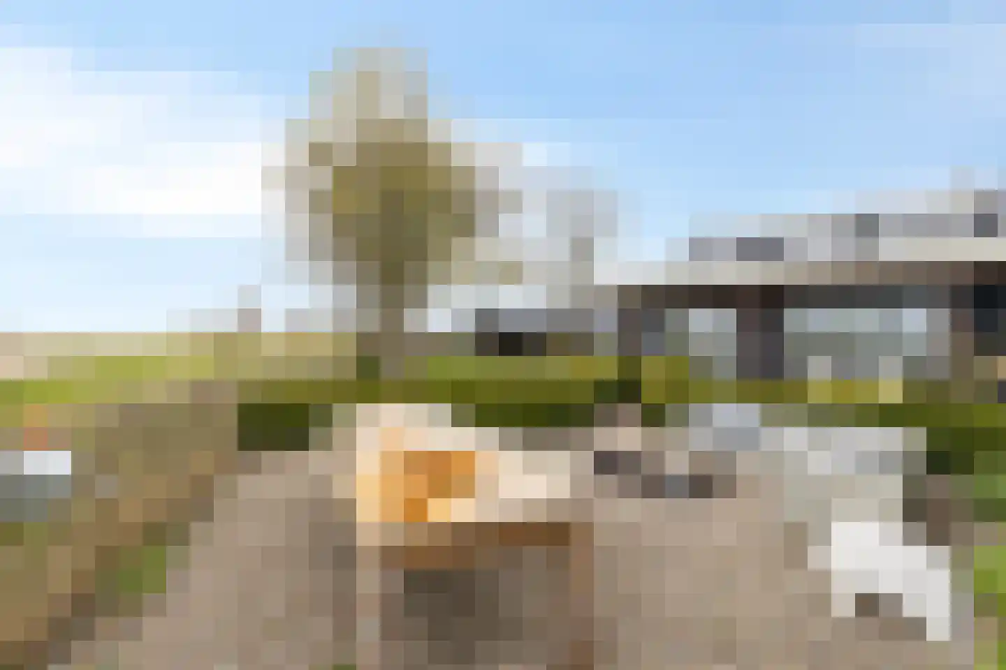 Ankervere 4 's-Heer Arendskerke foto 2