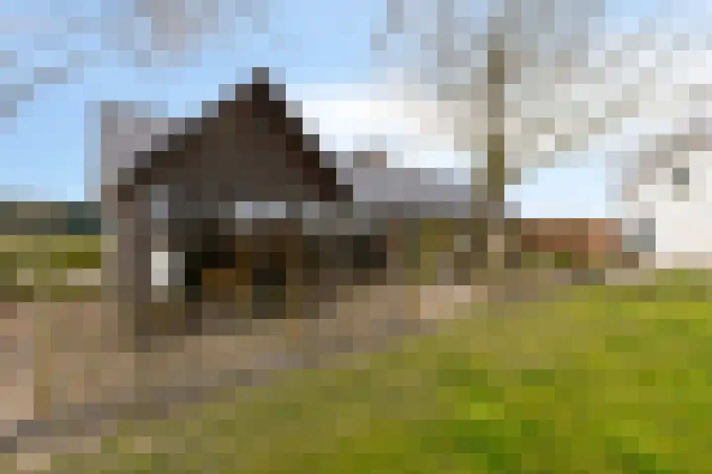 Ankervere 4 's-Heer Arendskerke thumbnail 4