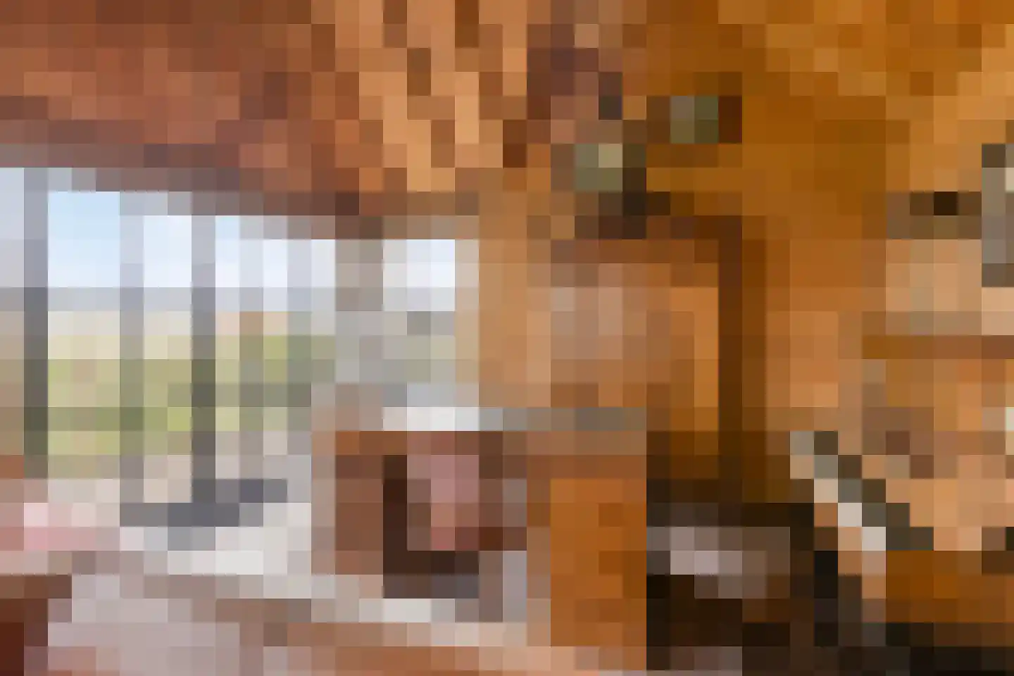 Ankervere 4 's-Heer Arendskerke thumbnail 45