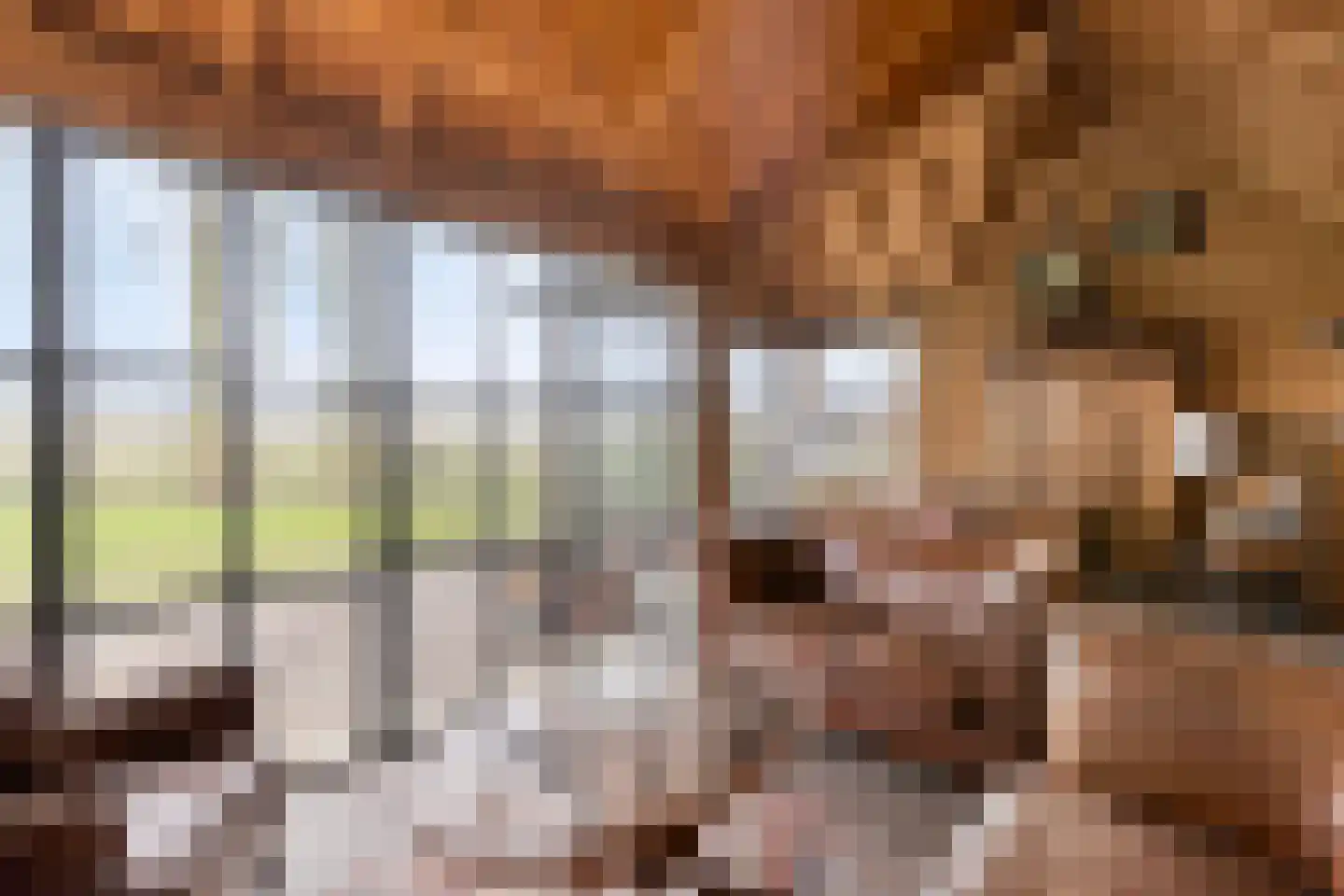 Ankervere 4 's-Heer Arendskerke thumbnail 46