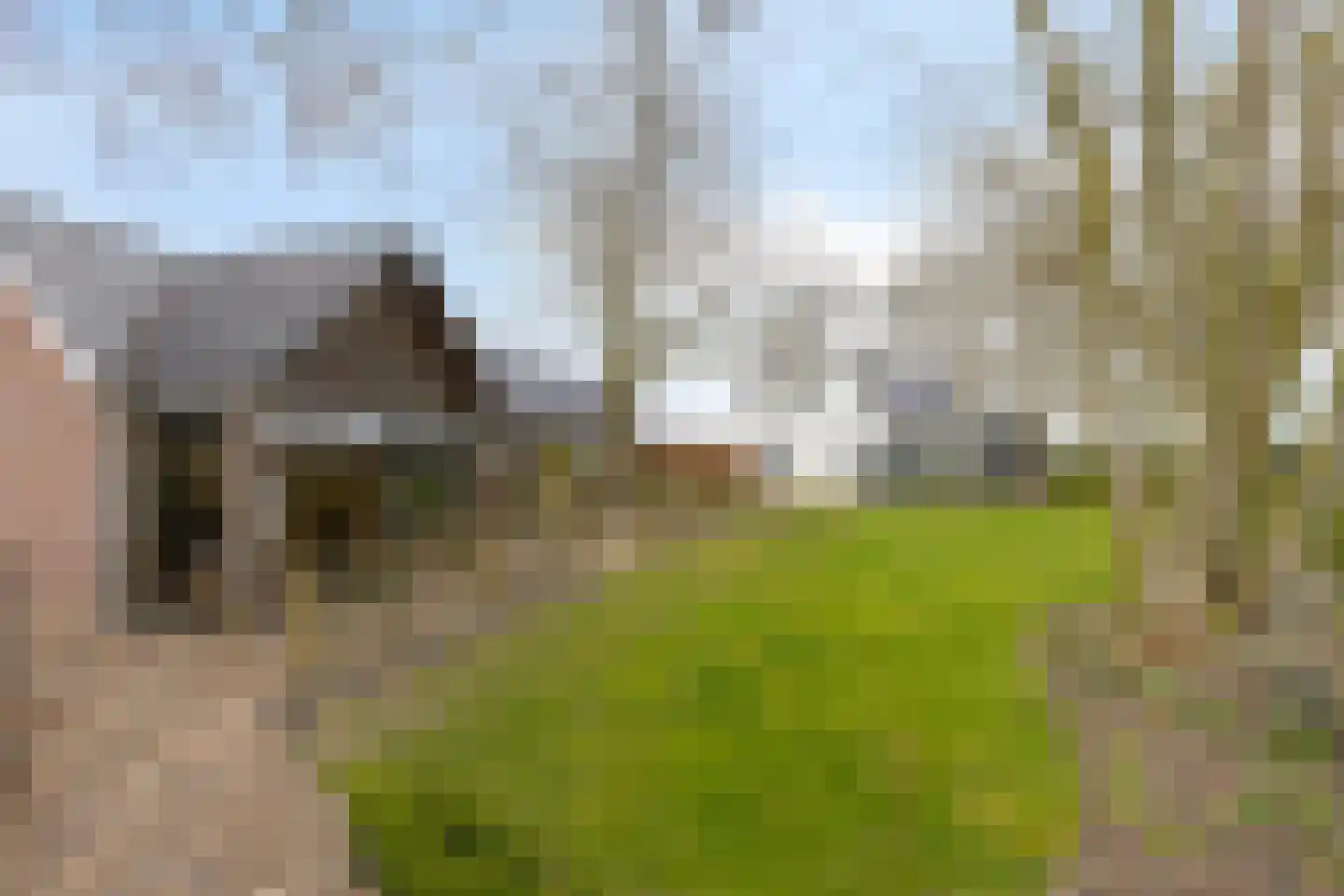 Ankervere 4 's-Heer Arendskerke thumbnail 5