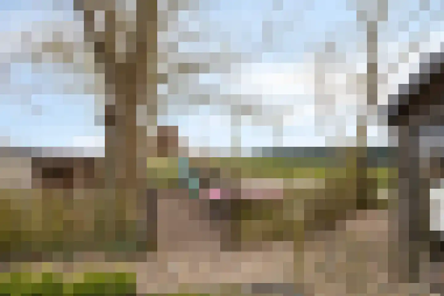 Ankervere 4 's-Heer Arendskerke thumbnail 50