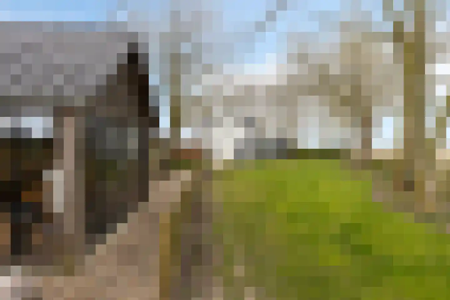 Ankervere 4 's-Heer Arendskerke thumbnail 52