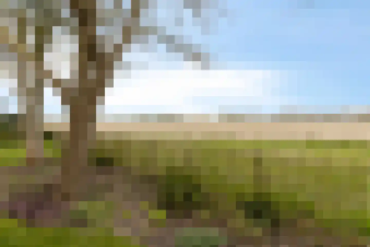 Ankervere 4 's-Heer Arendskerke thumbnail 53