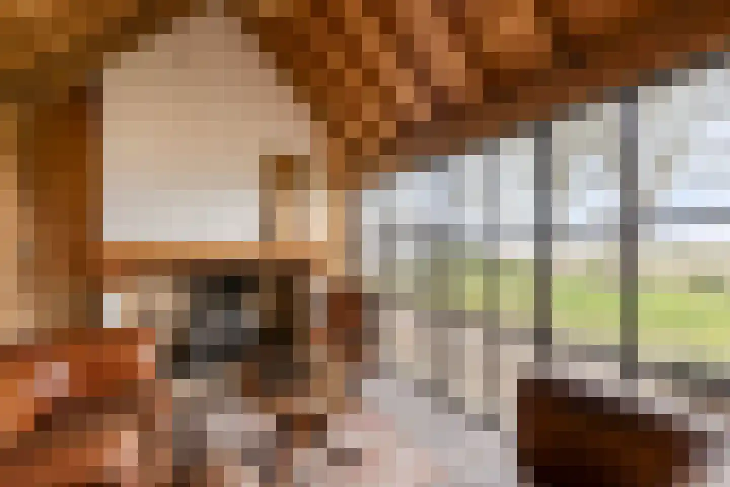 Ankervere 4 's-Heer Arendskerke thumbnail 6