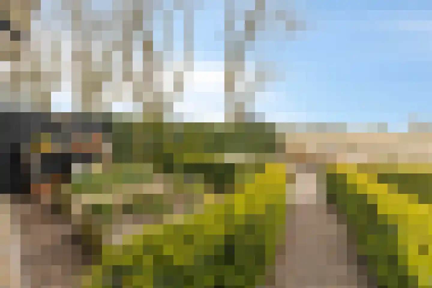 Ankervere 4 's-Heer Arendskerke thumbnail 60