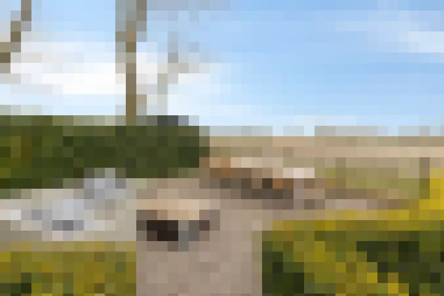 Ankervere 4 's-Heer Arendskerke thumbnail 61