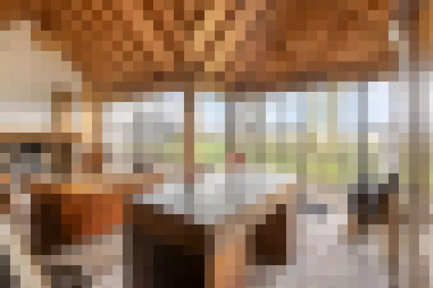 Ankervere 4 's-Heer Arendskerke thumbnail 67