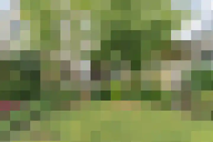 Ankerweg 27 Zwolle thumbnail 31