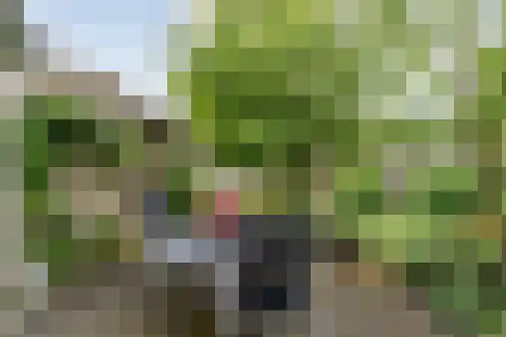 Ankerweg 27 Zwolle thumbnail 32