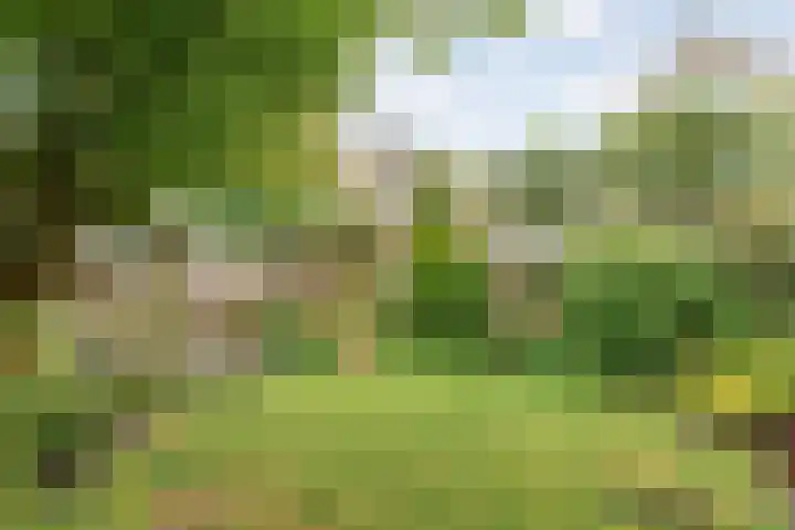 Ankerweg 27 Zwolle thumbnail 33