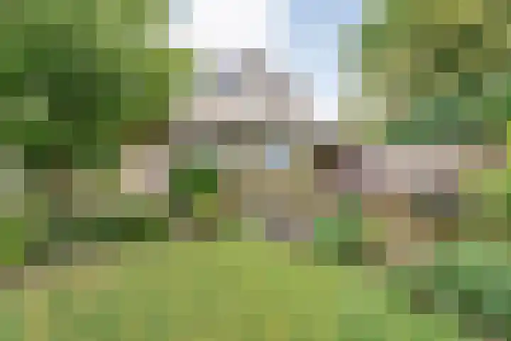 Ankerweg 27 Zwolle thumbnail 34