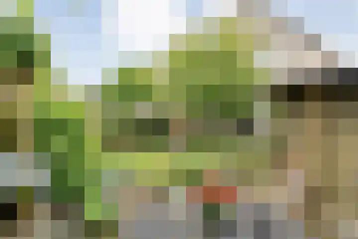 Ankerweg 27 Zwolle thumbnail 35