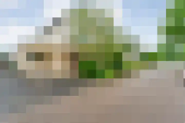 Ankerweg 27 Zwolle thumbnail 37