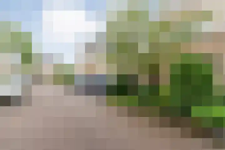 Ankerweg 27 Zwolle thumbnail 38