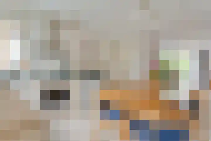 Ankerweg 27 Zwolle thumbnail 7