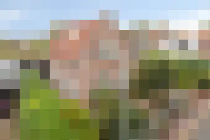 Ankerweg 6 Burgh-Haamstede thumbnail 35