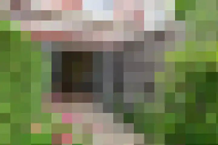 Ankeveensepad 1 b Nederhorst den Berg thumbnail 14